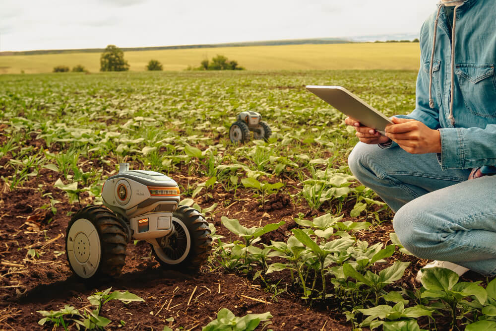 AI i jordbruk och livsmedelsindustri bildskapande